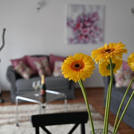 Apartmani Lucija Ludbreg Екстериор снимка