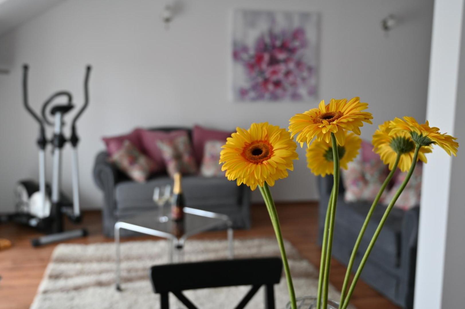 Apartmani Lucija Ludbreg Екстериор снимка